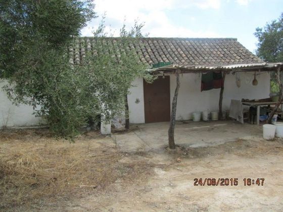Foto 2 de Casa rural en venda a Arcos de la Frontera de 1 habitació i 60 m²