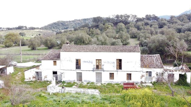 Foto 2 de Casa rural en venda a Cortes de la Frontera de 1 habitació amb terrassa i jardí