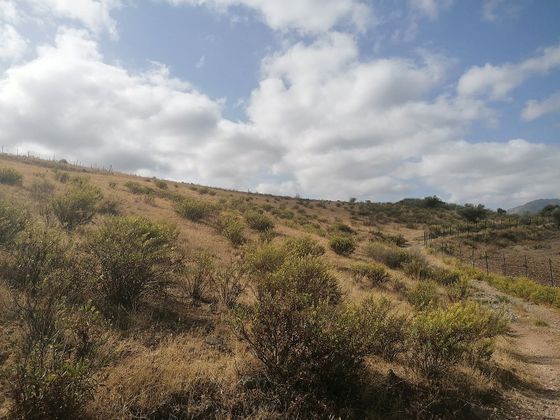 Foto 2 de Venta de terreno en Jimera de Líbar de 5000 m²