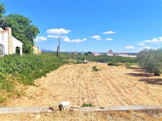 Foto 2 de Venta de terreno en carretera Caudete Los Corrales de 364 m²