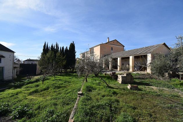 Foto 1 de Venta de casa rural en Illora de 14 habitaciones con terraza y piscina