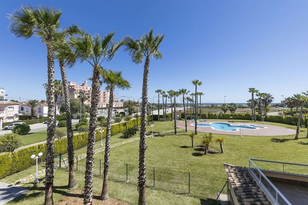 Foto 2 de Pis en venda a plaza Oliva Nova de 2 habitacions amb terrassa i piscina