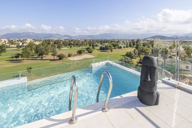 Foto 1 de Àtic en lloguer a Oliva Nova de 4 habitacions amb terrassa i piscina