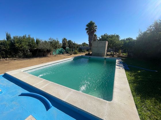 Foto 1 de Xalet en venda a Palacios y Villafranca (Los) de 2 habitacions amb piscina i jardí
