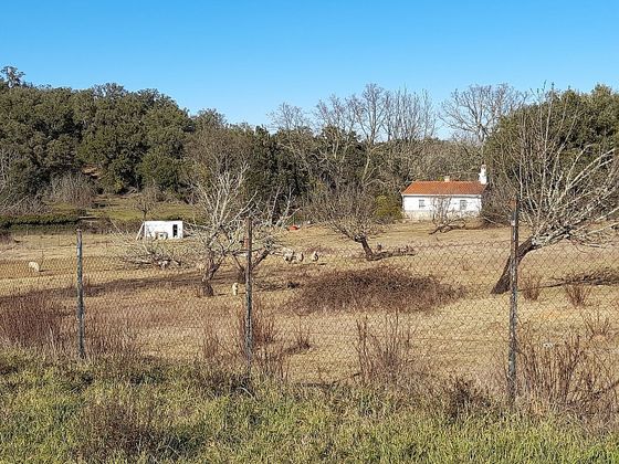 Foto 1 de Casa rural en venda a Fuenteheridos de 3 habitacions amb jardí