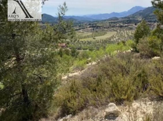Foto 2 de Venta de terreno en Torremanzanas/Torre de les Maçanes (la) de 22340 m²