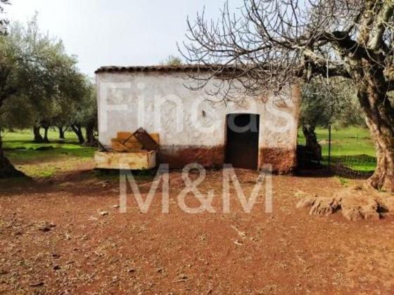Foto 1 de Casa rural en venda a Fuentes de León de 1 habitació amb jardí