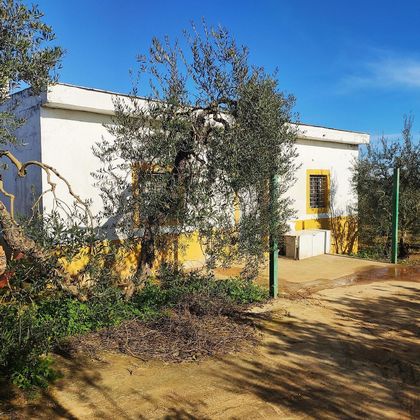Foto 1 de Casa rural en venda a Bollullos de la Mitación de 1 habitació amb jardí