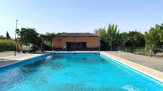 Foto 2 de Venta de chalet en Las Vaguadas - Urb. del Sur de 5 habitaciones con terraza y piscina