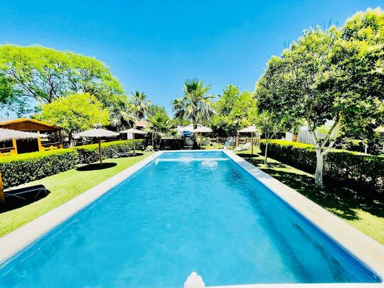 Foto 1 de Xalet en venda a urbanización Las Palmas de 8 habitacions amb terrassa i piscina