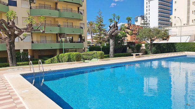 Foto 2 de Pis en lloguer a calle Rioja de 2 habitacions amb terrassa i piscina