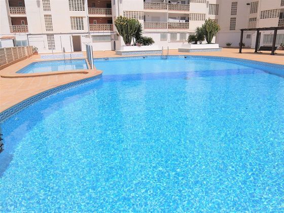 Foto 1 de Piso en alquiler en Playa de Gandia de 1 habitación con terraza y piscina