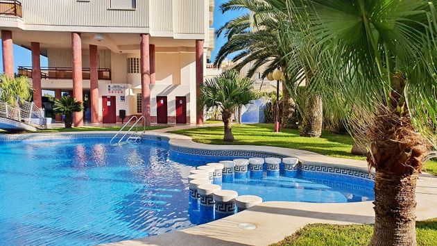 Foto 1 de Piso en alquiler en Playa de Gandia de 3 habitaciones con terraza y piscina