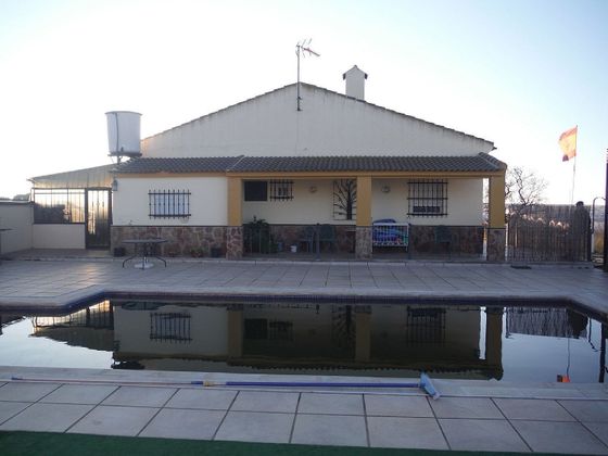 Foto 1 de Venta de chalet en Moguer de 3 habitaciones con terraza y piscina