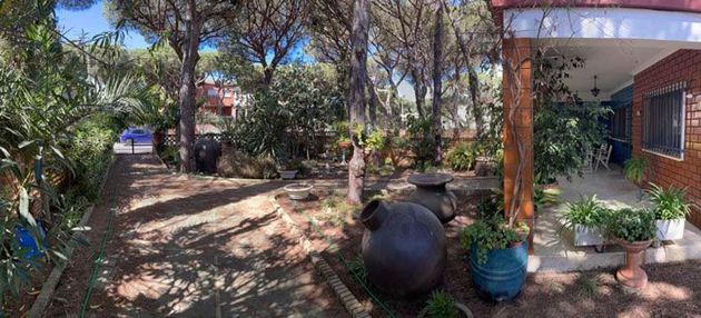 Foto 2 de Casa en venda a Palos de la Frontera de 4 habitacions amb terrassa i jardí