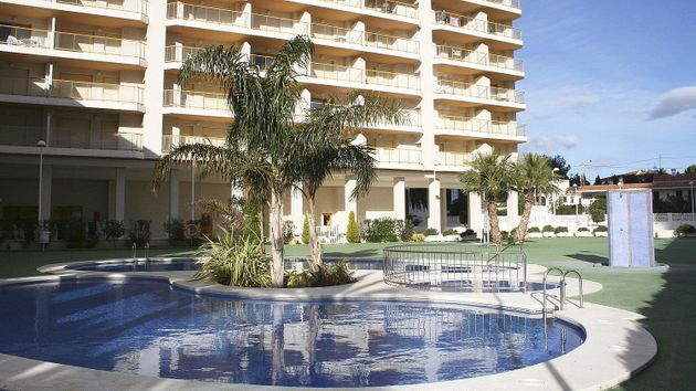 Foto 1 de Venta de piso en Zona Levante - Playa Fossa de 1 habitación con terraza y piscina