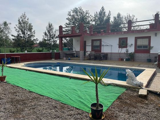 Foto 2 de Venta de chalet en Carmona de 3 habitaciones con piscina