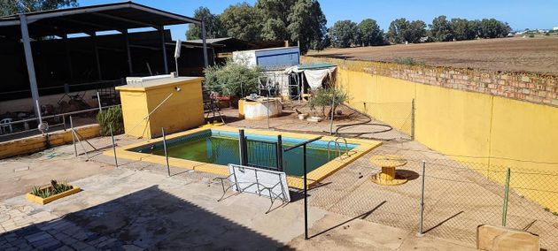 Foto 2 de Venta de chalet en Torreblanca de 4 habitaciones con piscina