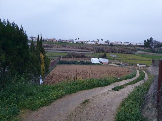 Foto 2 de Venta de terreno en Olivares de 3500 m²