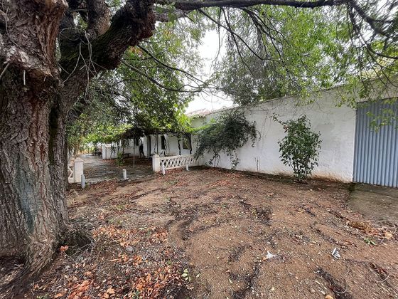 Foto 2 de Casa rural en venda a carretera De la Ermita de 7 habitacions amb terrassa i jardí