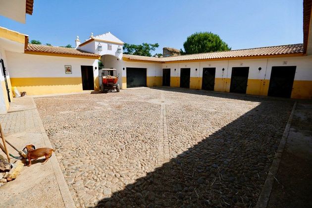 Foto 1 de Casa en venda a Carmona de 11 habitacions amb terrassa i piscina