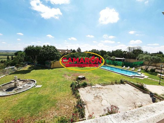 Foto 2 de Xalet en venda a Coria del Río de 6 habitacions amb terrassa i piscina