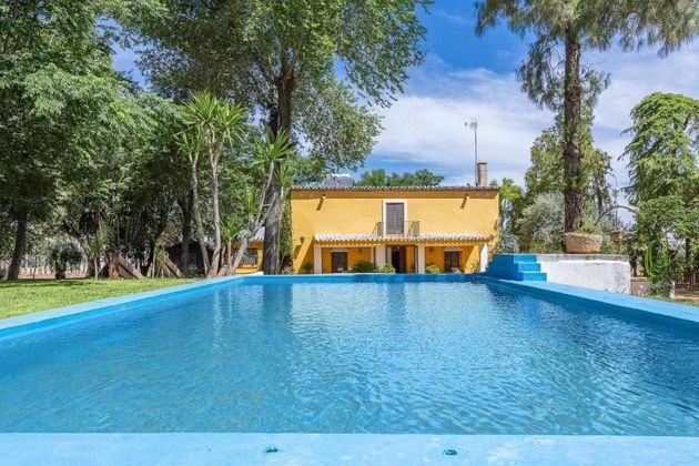 Foto 1 de Casa en venda a Marchena de 4 habitacions amb piscina i jardí