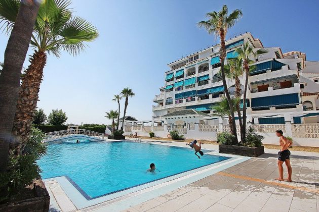 Foto 1 de Pis en venda a Torrelamata - La Mata de 2 habitacions amb piscina i jardí