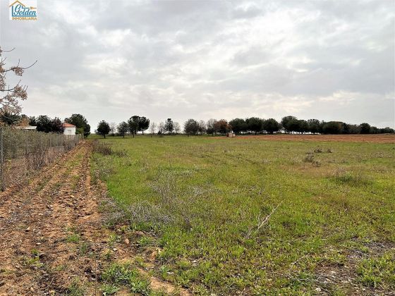 Foto 1 de Venta de terreno en Mengabril de 3282 m²