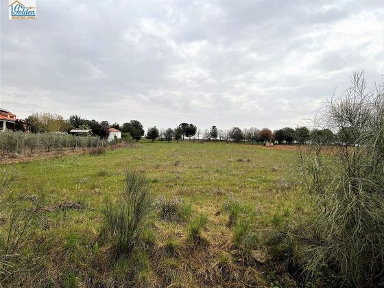 Foto 2 de Venta de terreno en Mengabril de 3282 m²