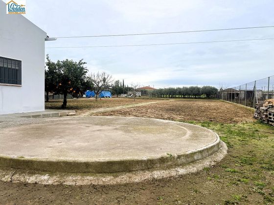 Foto 1 de Casa rural en venda a Don Benito de 3 habitacions amb piscina