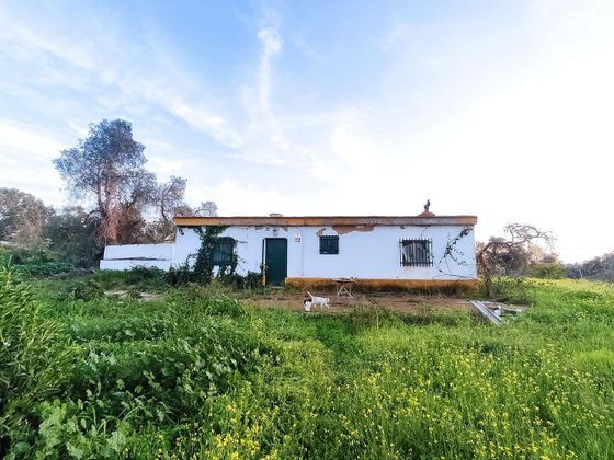 Foto 1 de Casa rural en venda a Gibraleón de 3 habitacions amb piscina