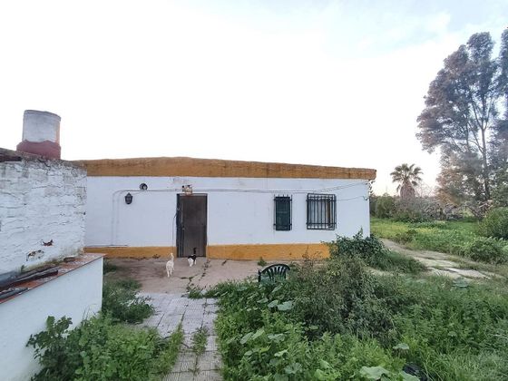 Foto 2 de Casa rural en venda a Gibraleón de 3 habitacions amb piscina