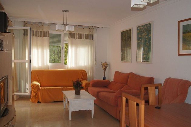 Foto 1 de Pis en lloguer a avenida Federico Garcia Lorca de 4 habitacions amb piscina i mobles