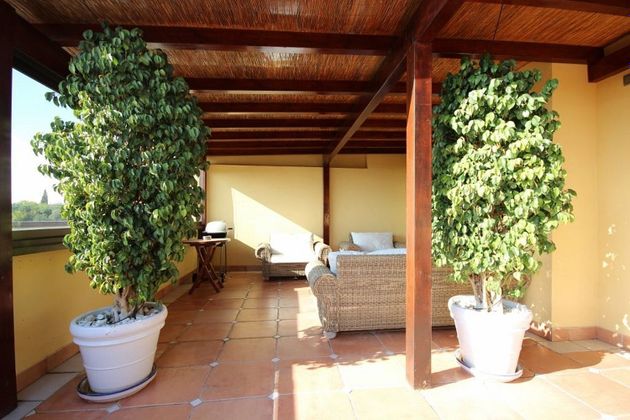 Foto 2 de Àtic en venda a urbanización Balcones de Sierra Blanca de 3 habitacions amb terrassa i piscina