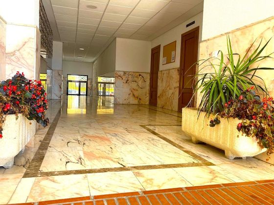 Foto 1 de Piso en venta en Centro - Cáceres de 1 habitación con terraza y piscina
