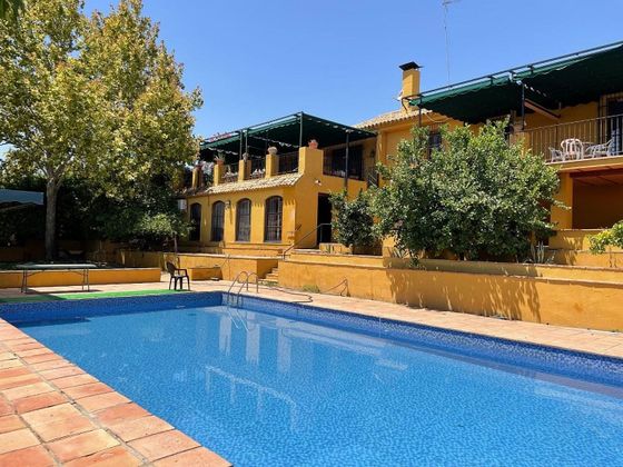 Foto 1 de Xalet en venda a Mairena del Alcor de 8 habitacions amb terrassa i piscina
