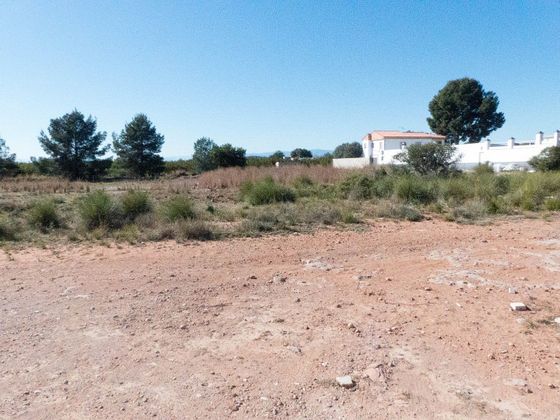 Foto 2 de Venta de terreno en Los Pinares-La Masía de 10173 m²