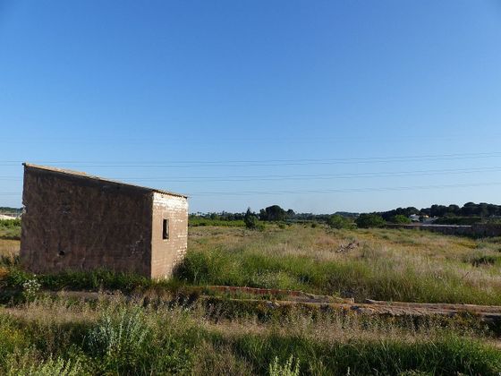 Foto 1 de Venta de terreno en Camì Paterna-Lloma del Calderer de 8316 m²