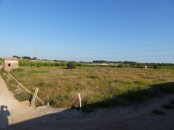 Foto 2 de Venta de terreno en Camì Paterna-Lloma del Calderer de 8316 m²