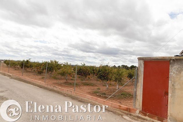 Foto 1 de Venta de terreno en Los Pinares-La Masía de 7983 m²