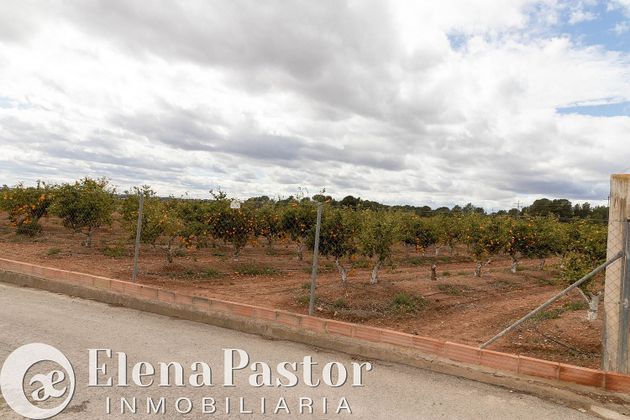 Foto 2 de Venta de terreno en Los Pinares-La Masía de 7983 m²