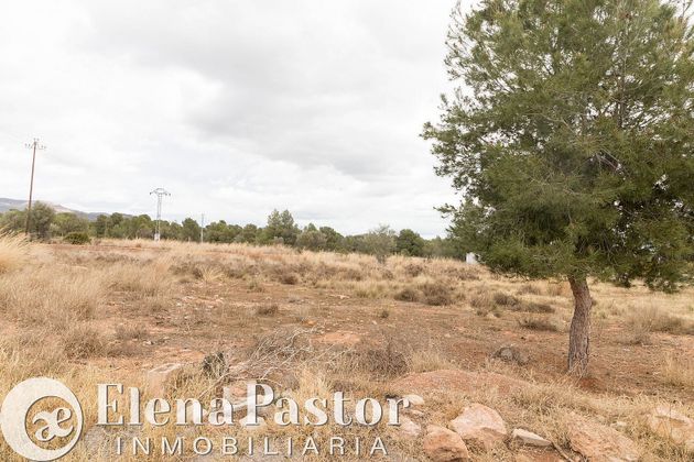 Foto 1 de Venta de terreno en Los Pinares-La Masía de 5944 m²