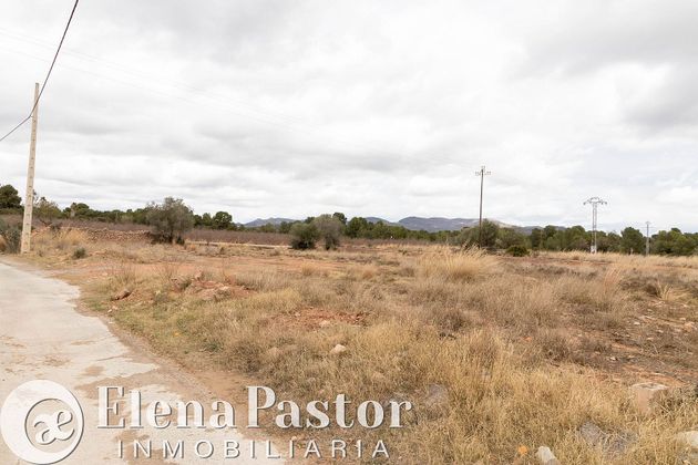 Foto 2 de Venta de terreno en Los Pinares-La Masía de 5944 m²