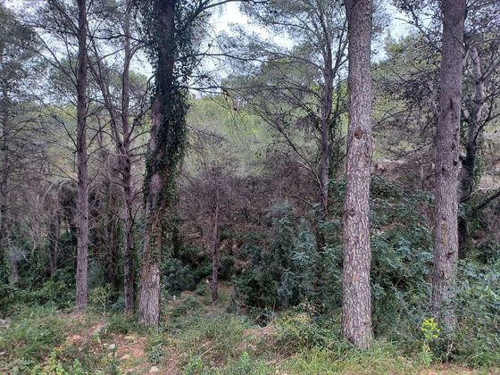 Foto 1 de Venta de terreno en Font d´En Carròs (la) de 893 m²