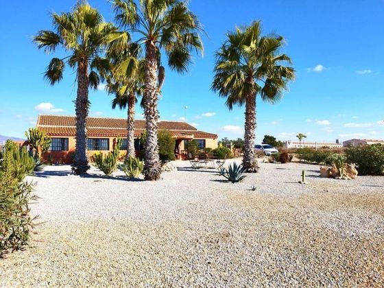 Foto 1 de Casa rural en venda a Fuente Alamo de 6 habitacions amb terrassa i piscina