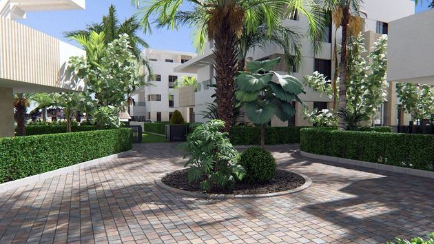 Foto 2 de Piso en venta en Torre-Pacheco ciudad de 3 habitaciones con piscina y jardín