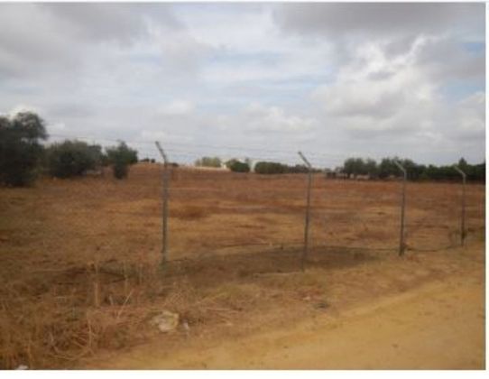 Foto 1 de Venta de terreno en Carmona de 5800 m²