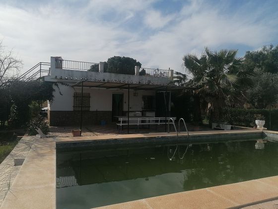 Foto 2 de Venta de chalet en Carmona de 2 habitaciones con terraza y piscina