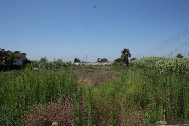 Foto 2 de Venta de terreno en El Perelló - Les Palmeres - Mareny de Barraquetes de 2800 m²
